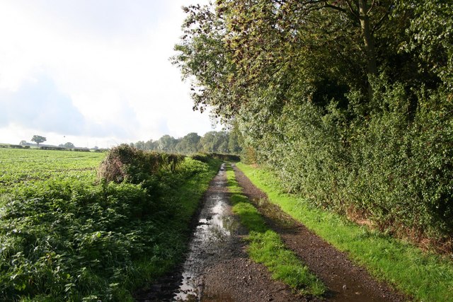 File:Footpath near Bathleyford Bridge - geograph.org.uk - 263720.jpg