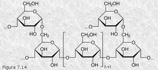 File:Glycogen-es.jpg