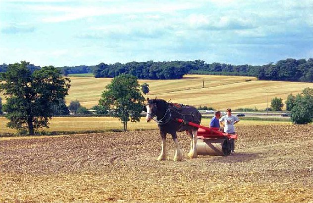 File:Holly Hill Farm, The Ridgeway, Enfield - geograph.org.uk - 42342.jpg