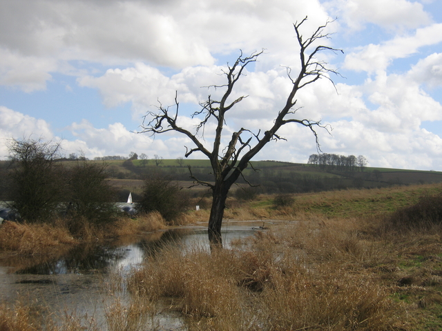 Lagoon at Boddington Reservoir - geograph.org.uk - 148158