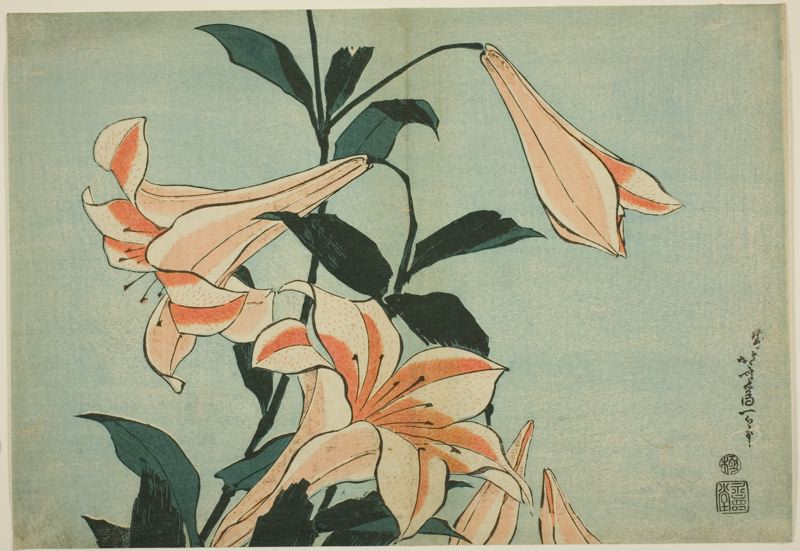 File:Lilies -- Hokusai.jpg