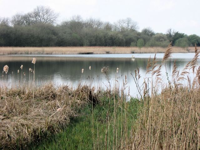 Looking West from the New Hide, Weston Turville Reservoir - geograph.org.uk - 1379390
