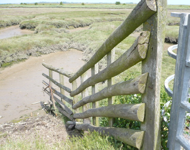 Looking across Ham Marshes by a gate on the Saxon Shore Way - geograph.org.uk - 1353977