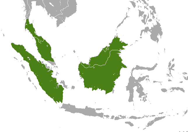 File:Malayan Weasel area.png