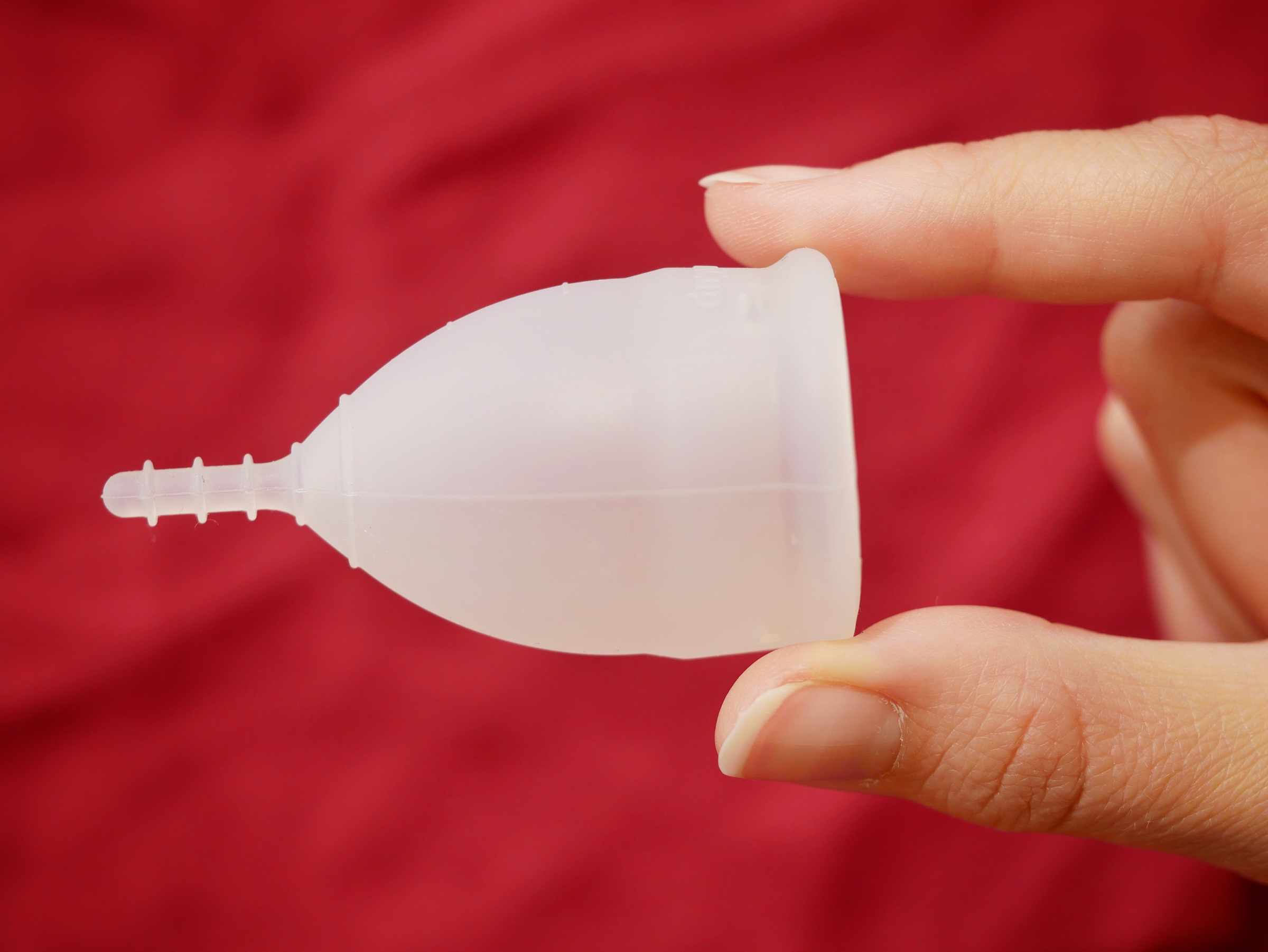 efterfølger Gendanne have File:Menstrual cup in hand folding technique 5.jpg - Wikimedia Commons