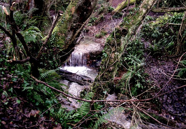 Mincinglake Valley Park Exeter - geograph.org.uk - 1083592