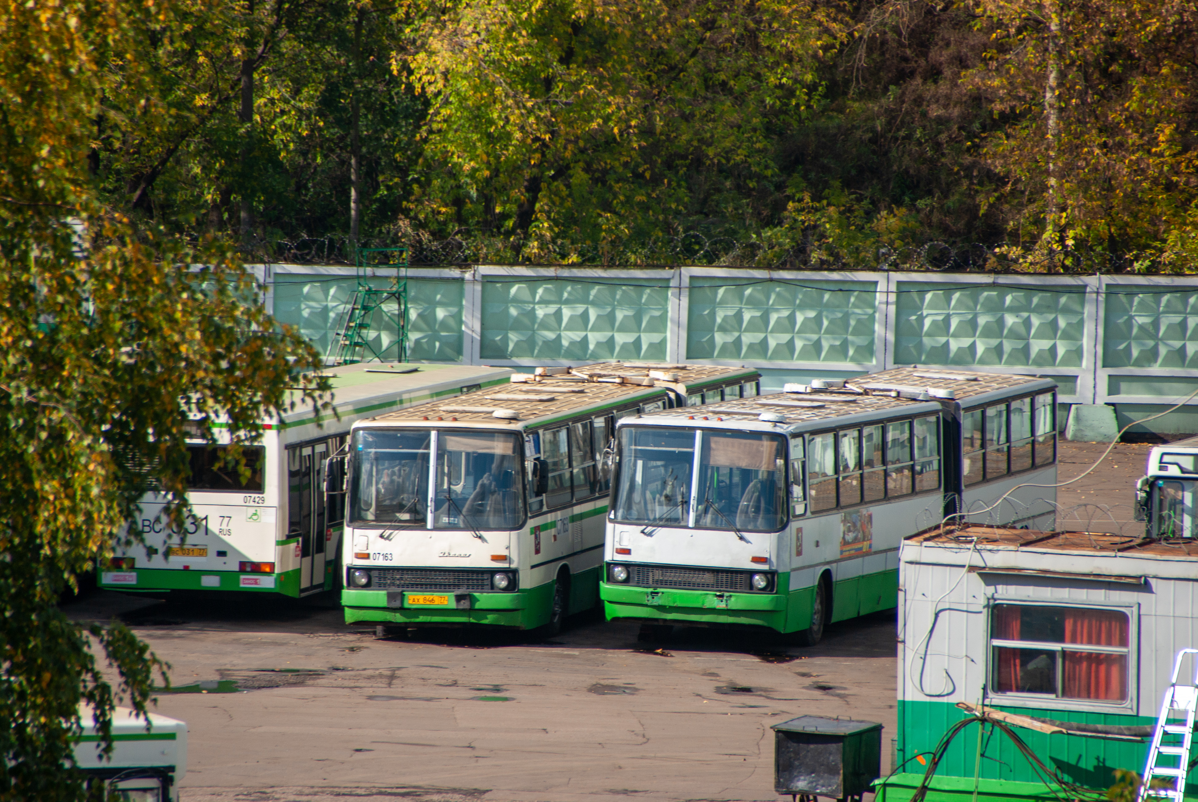 белый раст москва автобус фото 116