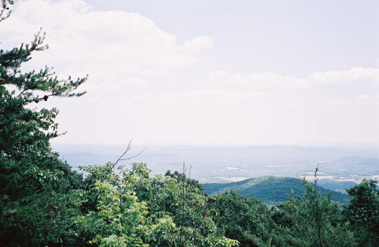 File:MountainLongleafNWR1.jpg