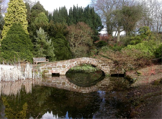 File:Ness Gardens - geograph.org.uk - 329936.jpg