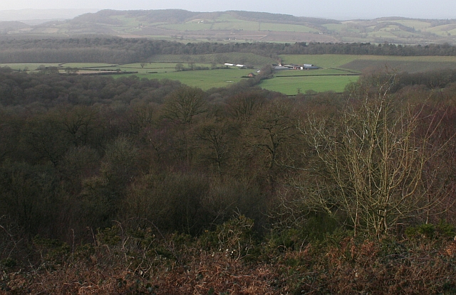 File:News Wood - geograph.org.uk - 653022.jpg