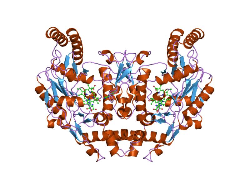 File:PDB 1mmv EBI.jpg