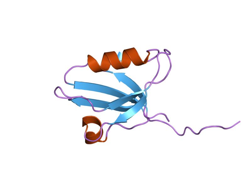 File:PDB 1n7e EBI.jpg