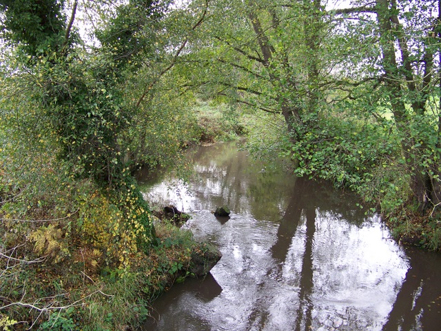 File:River Wey from Huntingford Bridge - geograph.org.uk - 1576375.jpg