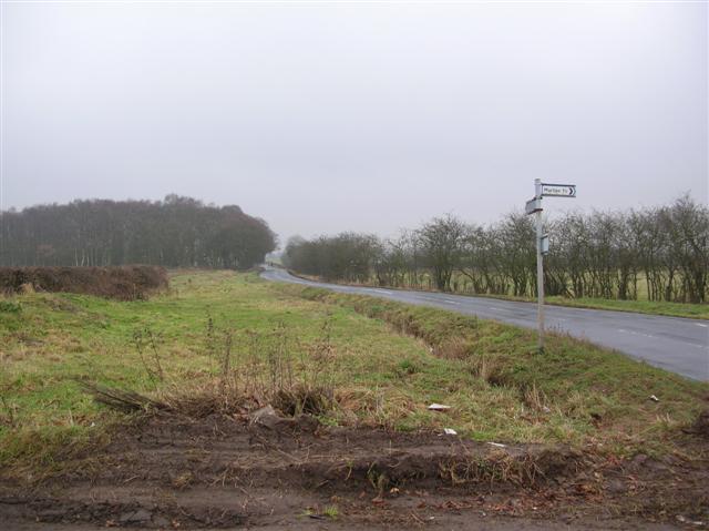 File:Road to Holtby - geograph.org.uk - 105239.jpg