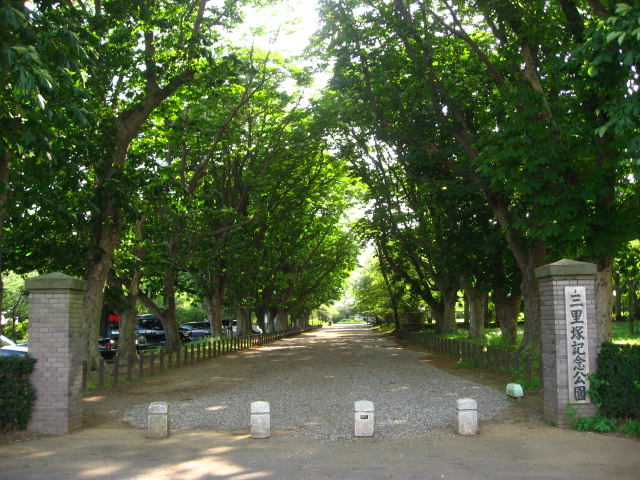 File:Sanrizuka-memorial-park,jnarita-city,japan.jpg