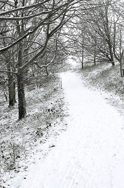 File Snow Covered Path Through Woods In The Lawn Park Geograph Org Uk Jpg Wikimedia Commons