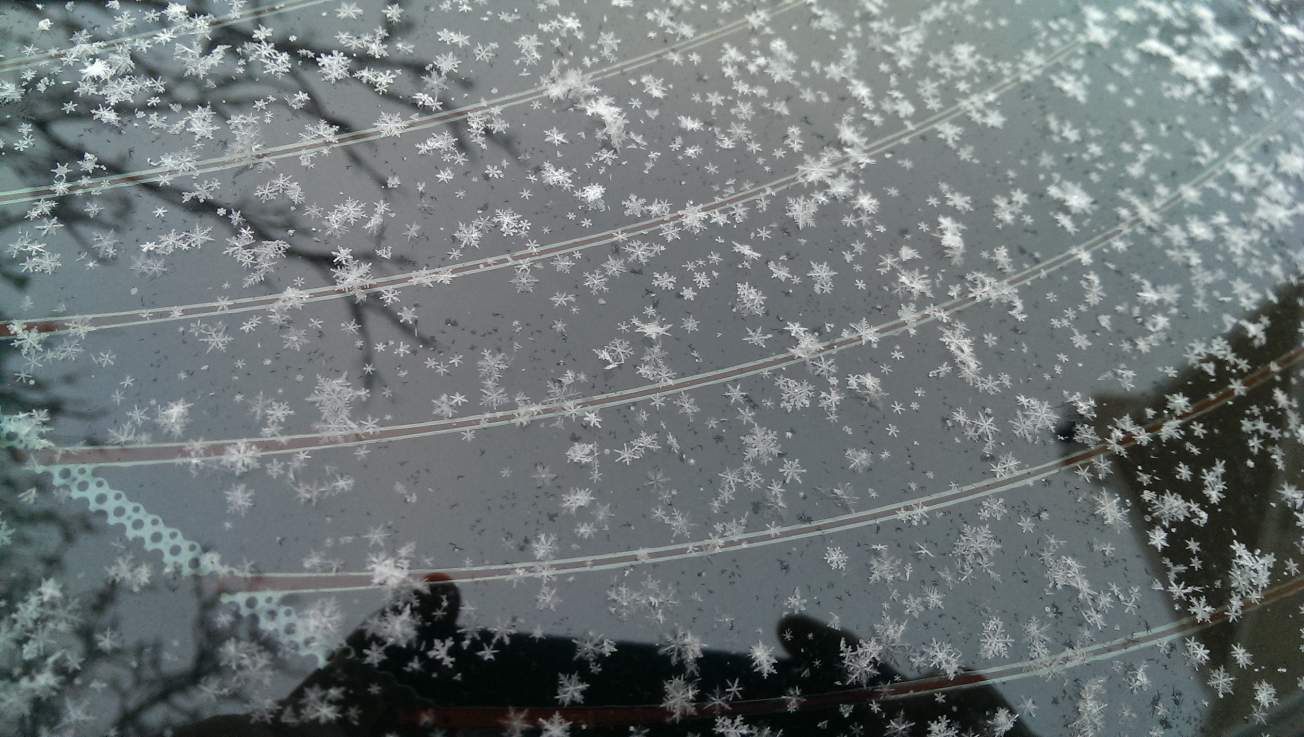 File:Snow Flakes.jpg - Wikimedia Commons