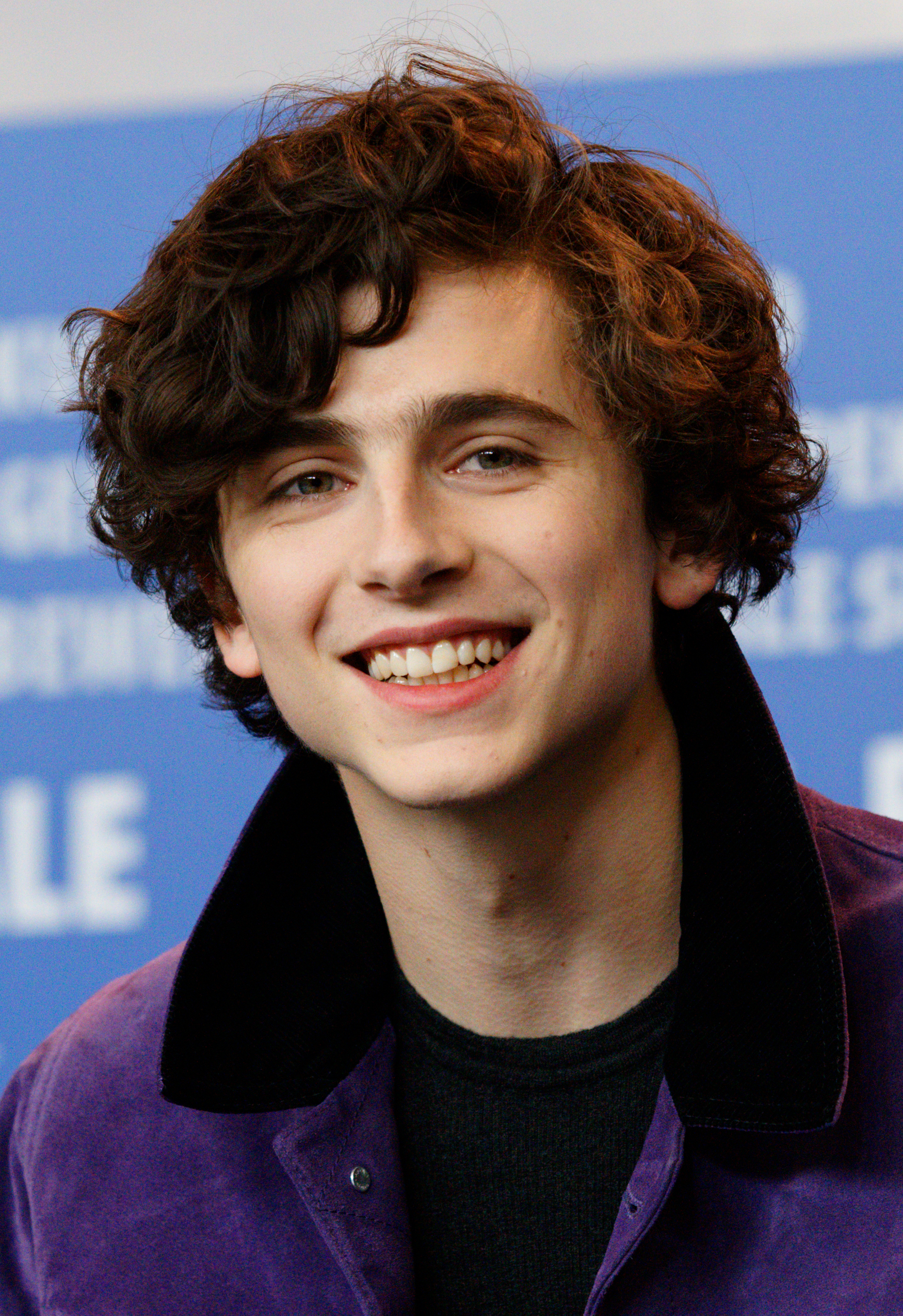 Timothée Chalamet - Wikipedia