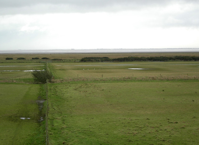 File:Tower Field, Caerlaverock - geograph.org.uk - 326031.jpg