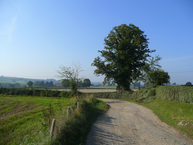 File:Track to Hillcrest and Underhill - geograph.org.uk - 1009813.jpg