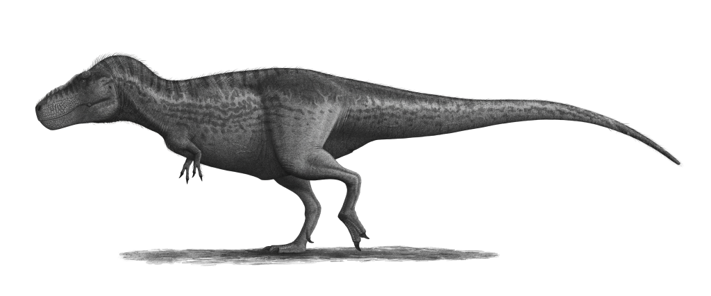 tyrannosaurus rex profile