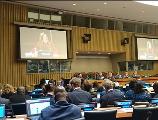 IUFRO presentation at United Nations Forum on Forests (UNFF). Photo by IUFRO.