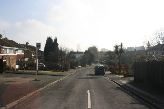 File:Willow Park - geograph.org.uk - 1722088.jpg