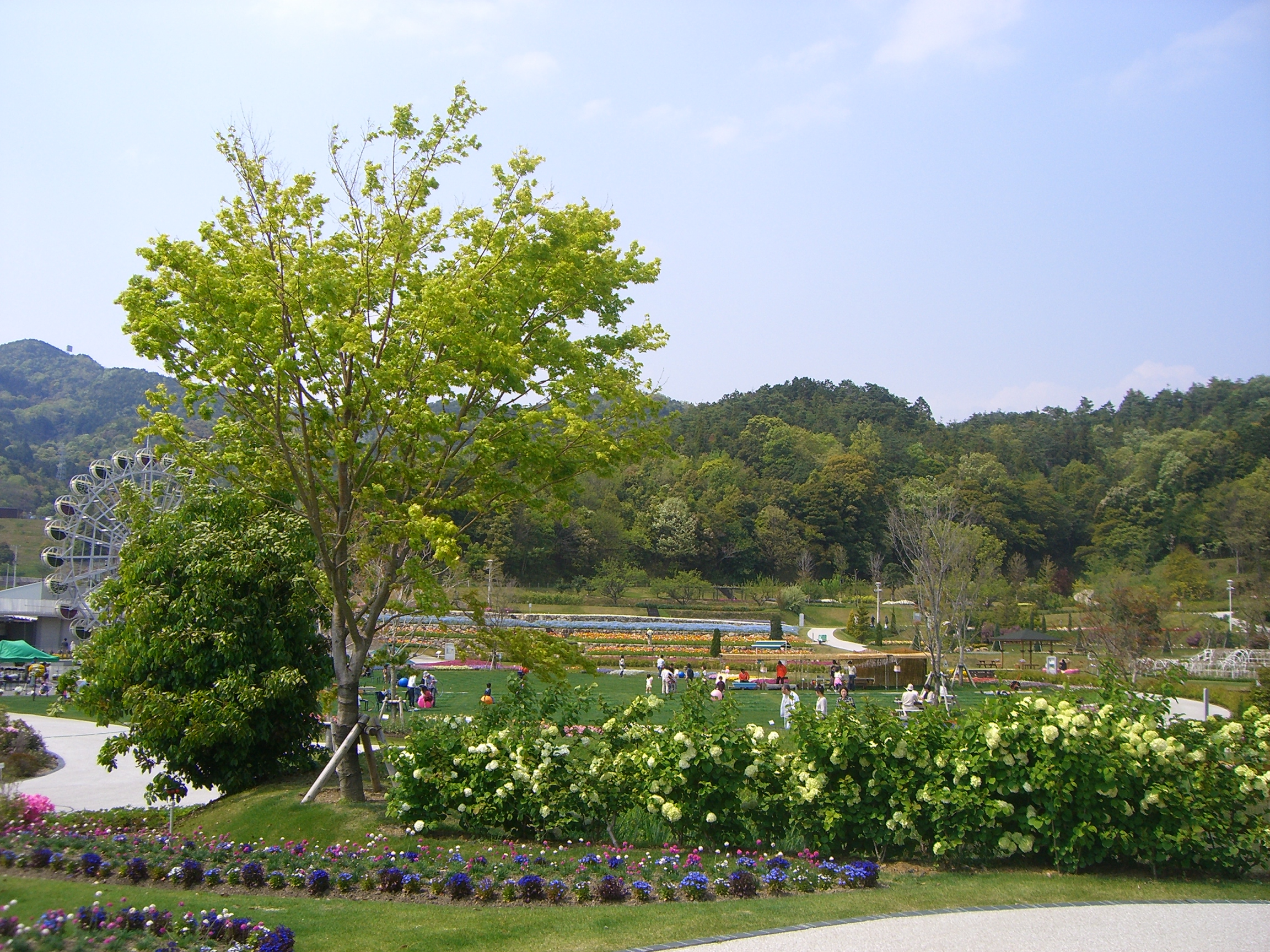 Yamaguchi flower land.JPG