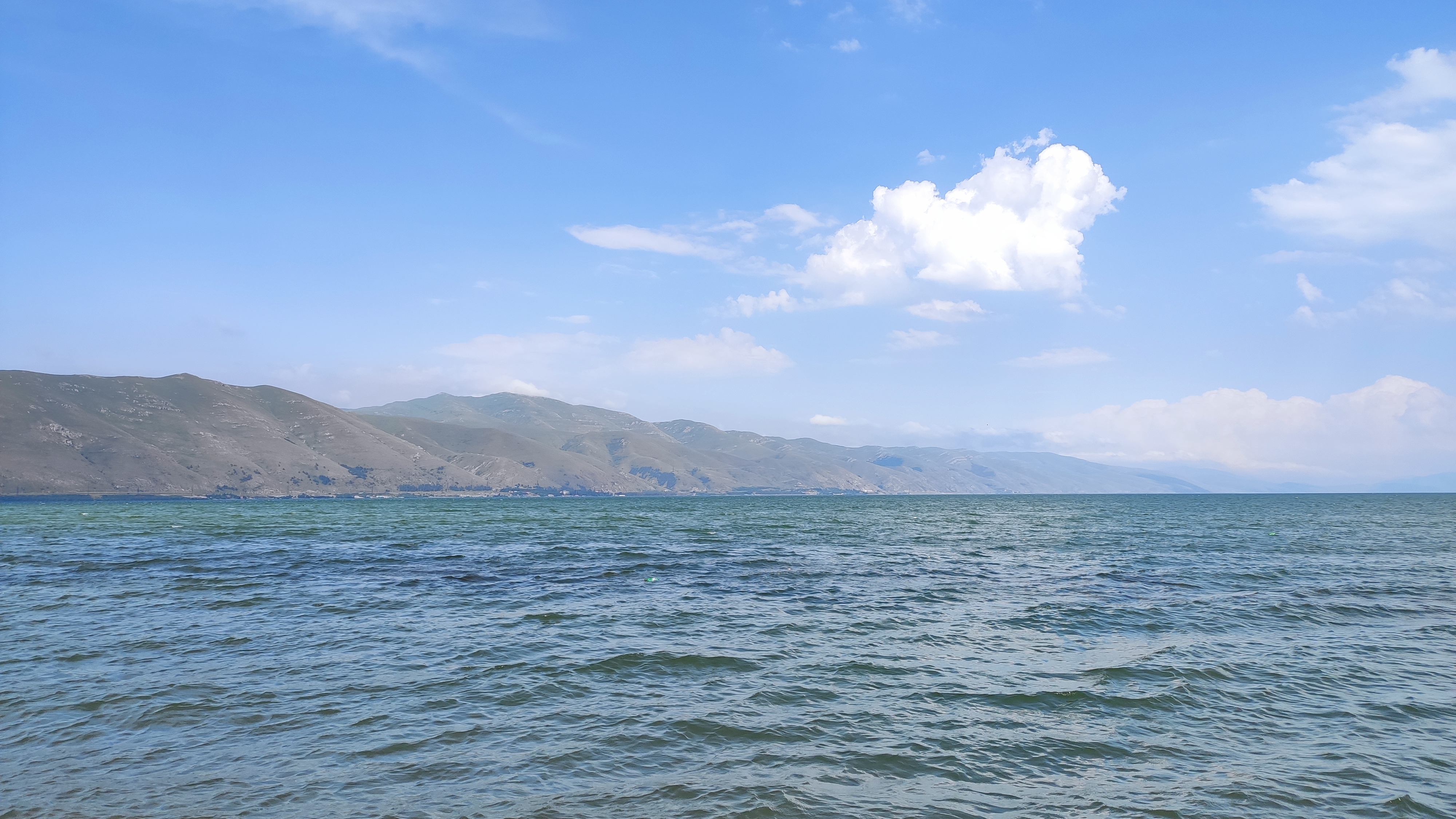 Озеро Севан рыба. Озеро Севан пляж. Озеро Севан реальные. Озеро Севан остров чаек. Температура озера севан