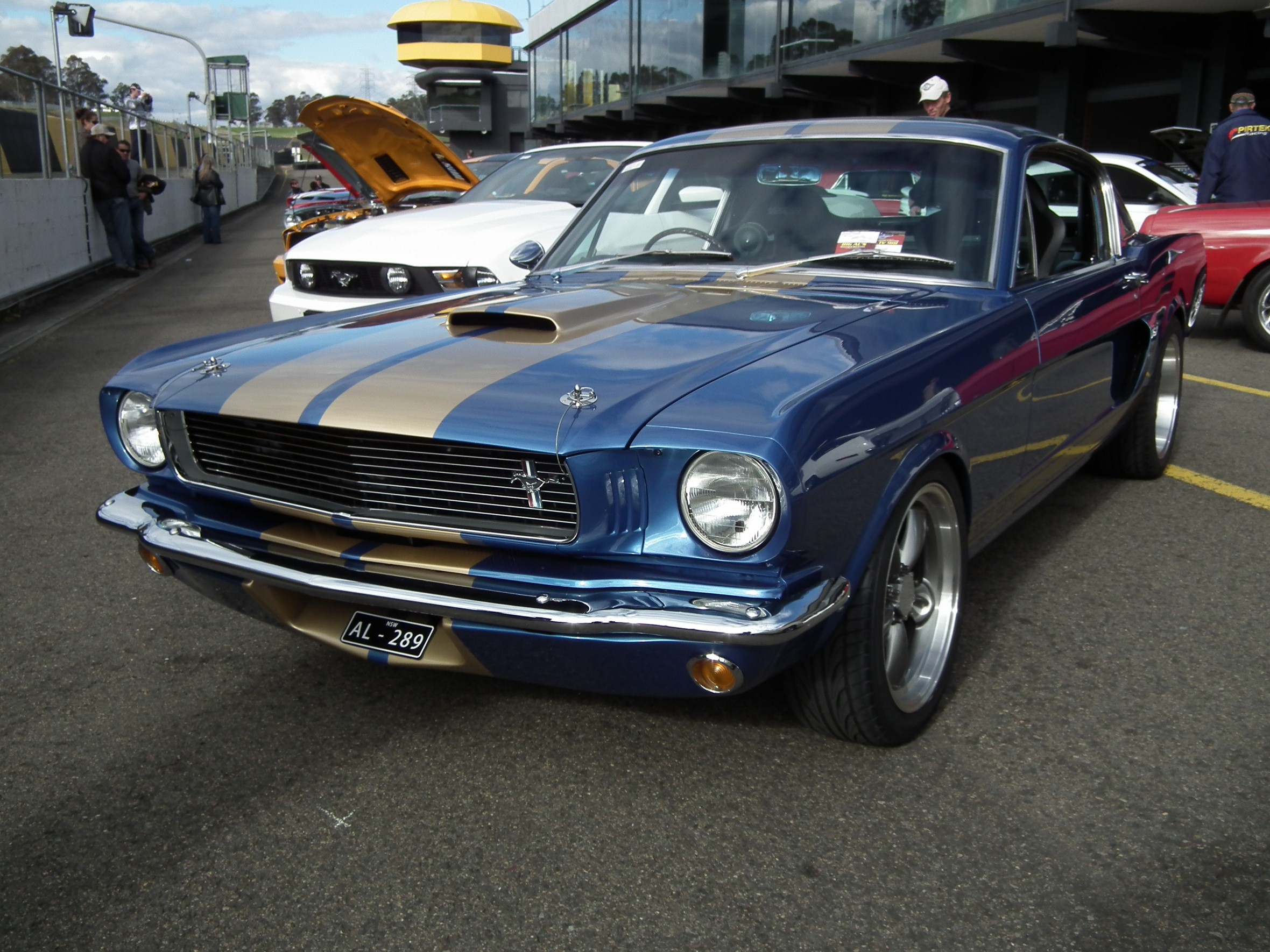 Shelby Mustang - Wikipedia