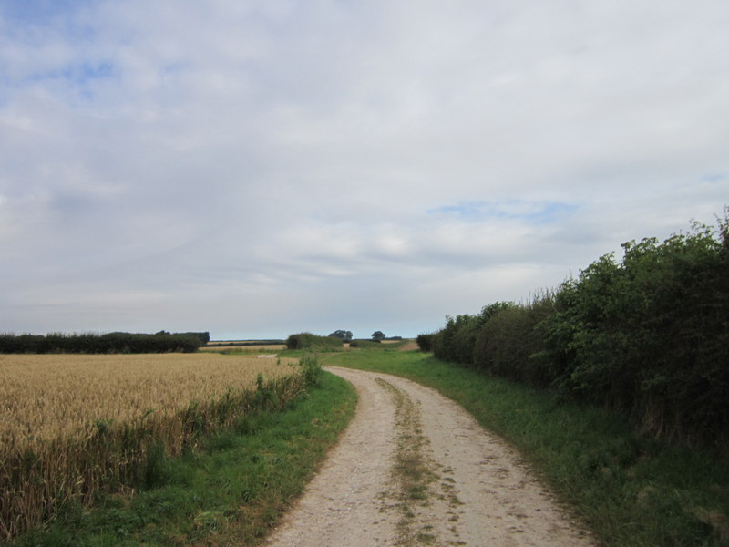 File:A bridleway leading to Danesdale - geograph.org.uk - 3064020.jpg