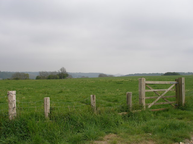 File:Across the field towards Cold Blow - geograph.org.uk - 423194.jpg