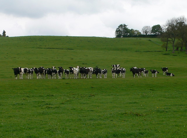 File:At the starting line ... - geograph.org.uk - 1303338.jpg