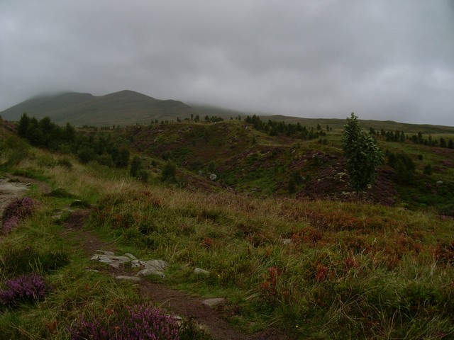 File:Ben Lawers Nature Trail - geograph.org.uk - 936150.jpg