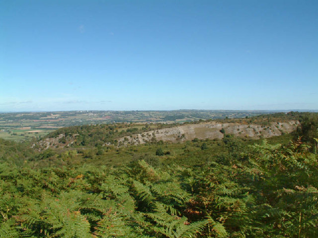 Burrington Combe - geograph.org.uk - 7895