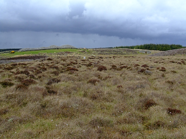 File:Camster Cairns - geograph.org.uk - 431561.jpg