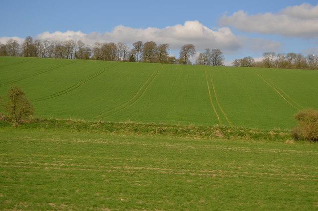 File:Canal feeder - geograph.org.uk - 5564077.jpg