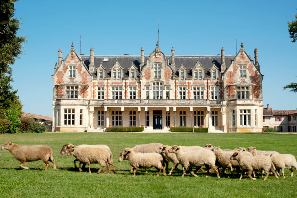 Château Cantenac Brown — Wikipédia