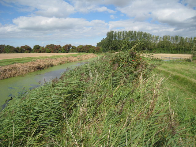 File:Channel to River Stour - geograph.org.uk - 2070536.jpg