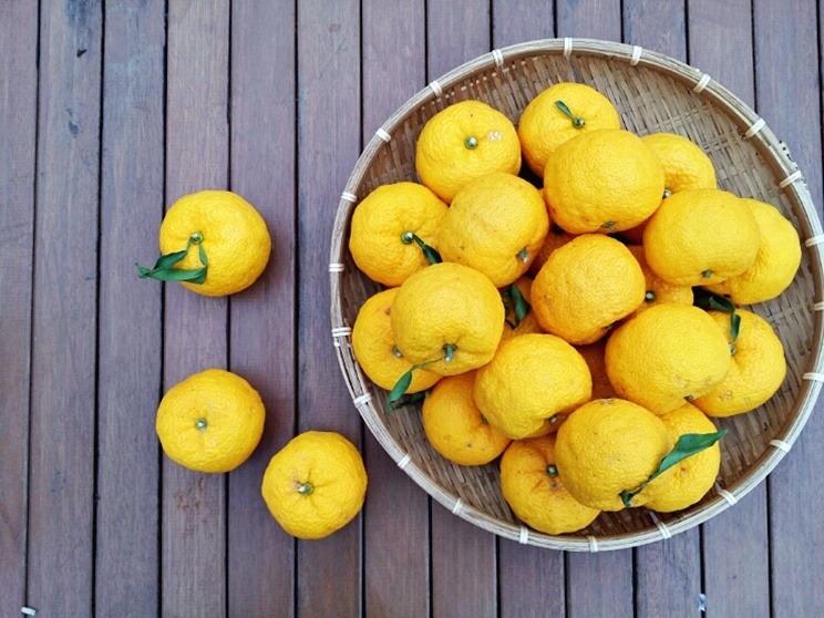 File:Citrus junos fruits 4.jpg