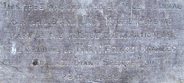 File:Commemorative Royal Wedding Plaque - geograph.org.uk - 583256.jpg