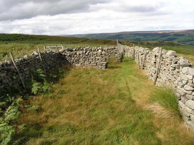 File:Drystone walled sheepfold built onto the moor wall - geograph.org.uk - 537586.jpg