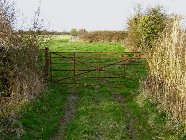 File:End of the track (2) - geograph.org.uk - 1207609.jpg