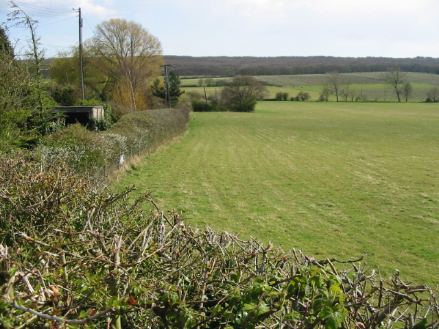 File:Field edge to the S of Denstroude Lane - geograph.org.uk - 763687.jpg