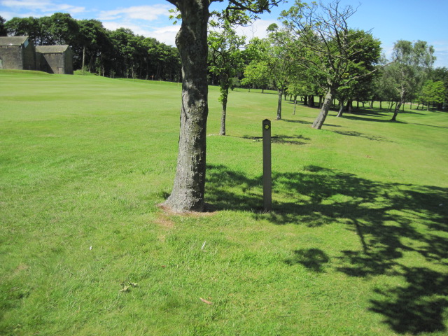 Footpath on Meltham Golf Club - geograph.org.uk - 2478193