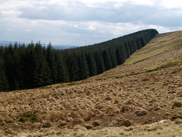 File:Forest edge, White Shank - geograph.org.uk - 762184.jpg