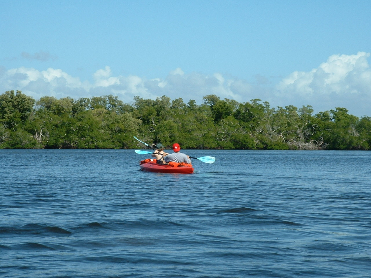 Estero River Tide Chart