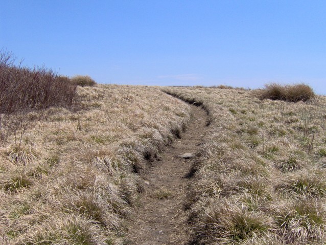 File:Gregory-bald-trail1.jpg