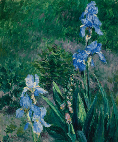 File:Gustave Caillebotte - Iris bleus, jardin du Petit Gennevilliers.jpg