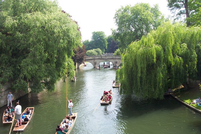 File:High summer on the Cam. - geograph.org.uk - 288558.jpg